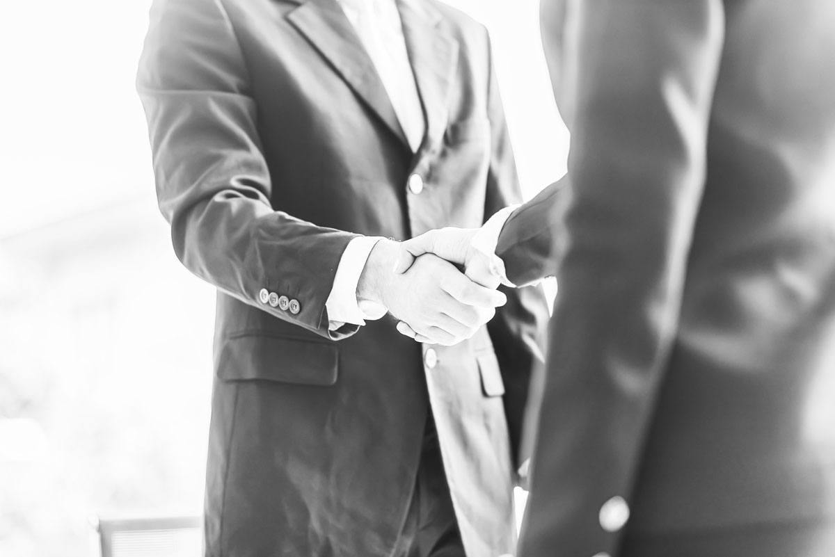 pinnacle image handshake