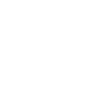Single Family Home Icon
